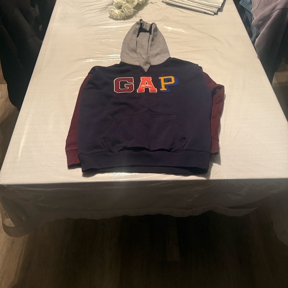 GAP Multicolor Logo Hoodie